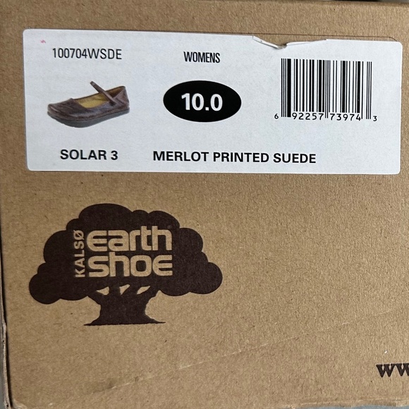 Earth Red Shimmery Flats with Mary Jane Strap - Picture 8 of 8